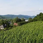 Weingut & Gaestezimmer Pammer Bed & Breakfast Mitterarnsdorf