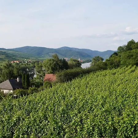 Weinbau Und Gästezimmer Pammer Frühstückspension Mitterarnsdorf