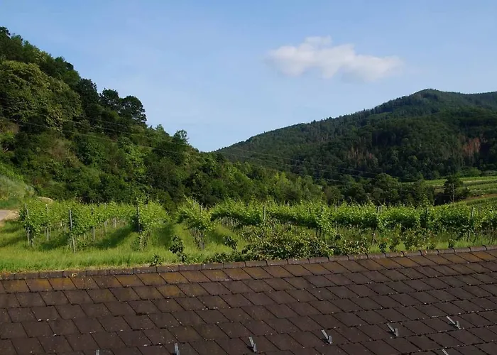 Weingut & Gaestezimmer Pammer Mitterarnsdorf