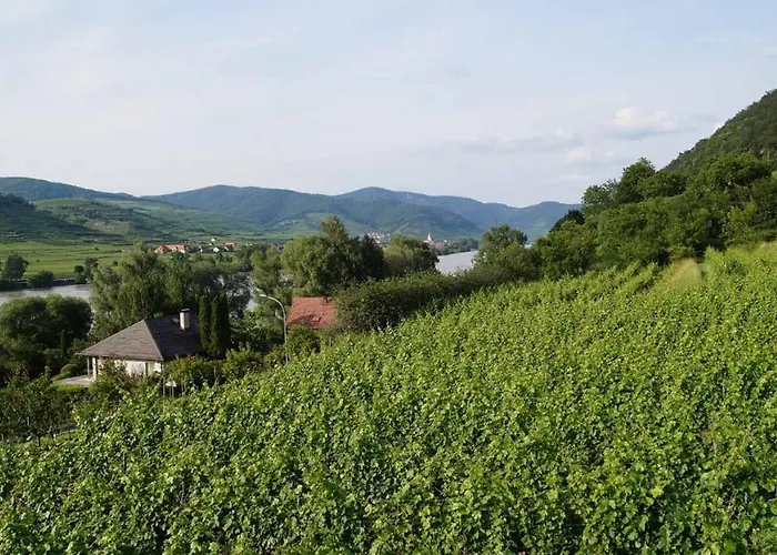 Weingut & Gaestezimmer Pammer Отель типа 