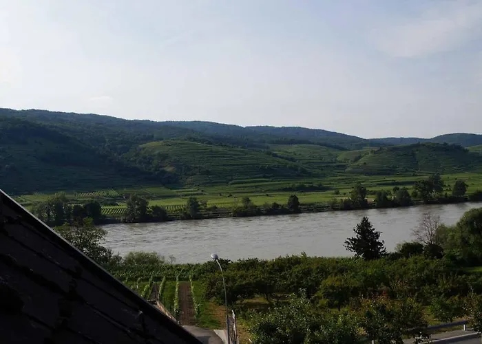 Weingut & Gaestezimmer Pammer